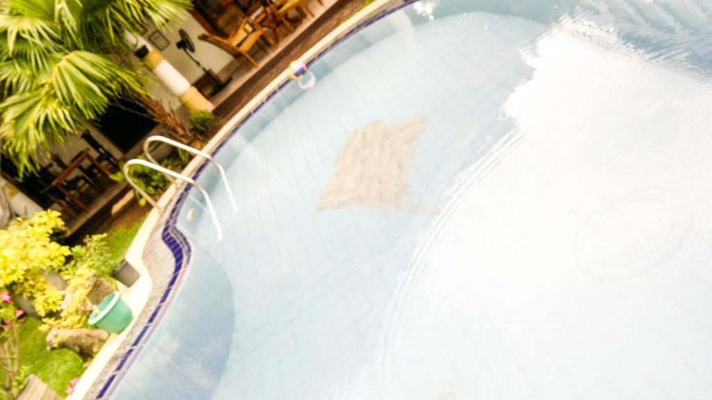 Serendib Guest House ネゴンボ エクステリア 写真
